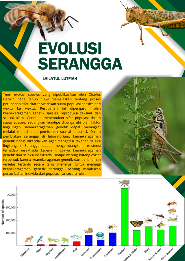 Sumber Gambar: Canva (lailatul Lutfiah)