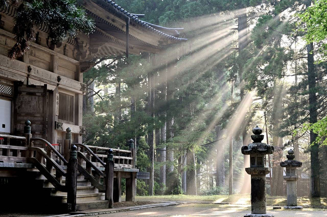 Ilustrasi mayoritas agama di Jepang. Foto: Pixabay