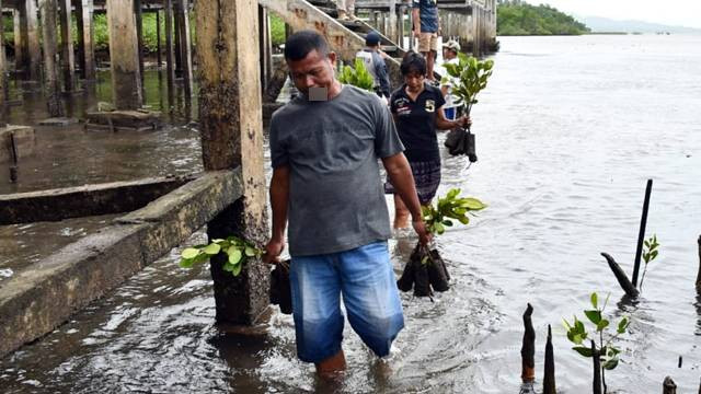 Penanaman bibit mangrove menjadi salah satu upaya melestarikan alam sekaligus mendorong dunia pariwisata.