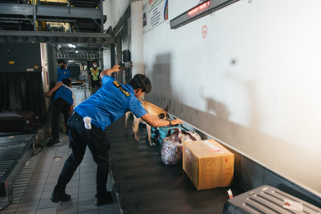 Petugas Bea Cukai memeriksa barang bawaan penumpang untuk mencegah peredaran narkotika. Foto: Dok. Bea Cukai