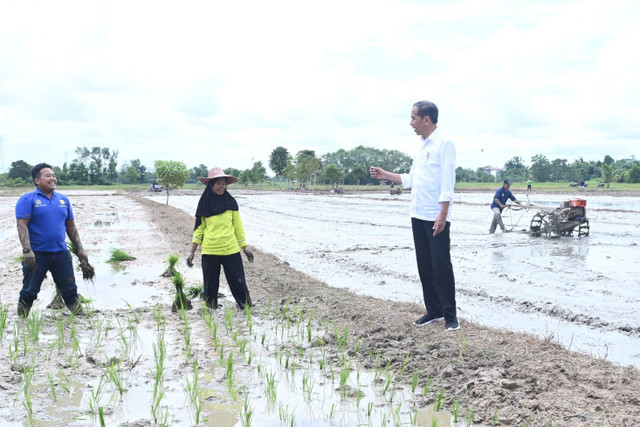 Presiden Joko Widodo berbincang dengan petani saat meninjau program pompanisasi di Desa Bapeang, Kalimantan Tengah, Rabu (26/6/2024). Foto: Kris/Biro Pers Sekretariat Presiden