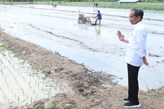 Presiden Joko Widodo meninjau program pompanisasi di Desa Bapeang, Kalimantan Tengah, Rabu (26/6/2024). Foto: Kris/Biro Pers Sekretariat Presiden