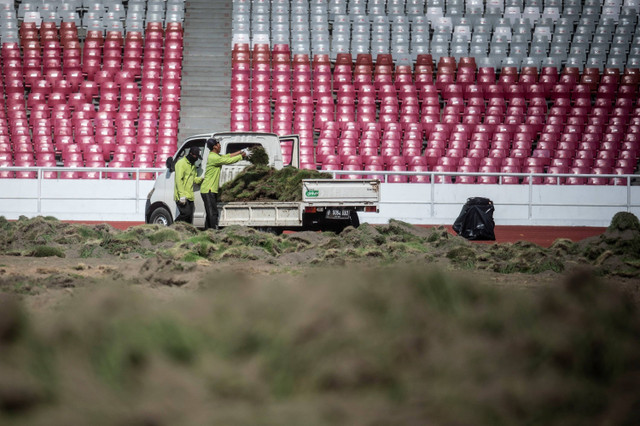 Pekerja memindahkan rumput saat perawatan media tanam rumput Field of Play (FOP) lapangan Stadion Utama Gelora Bung Karno (SUGBK) di Jakarta, Rabu (26/6/2024). Foto: Aprilio Akbar/ANTARA FOTO