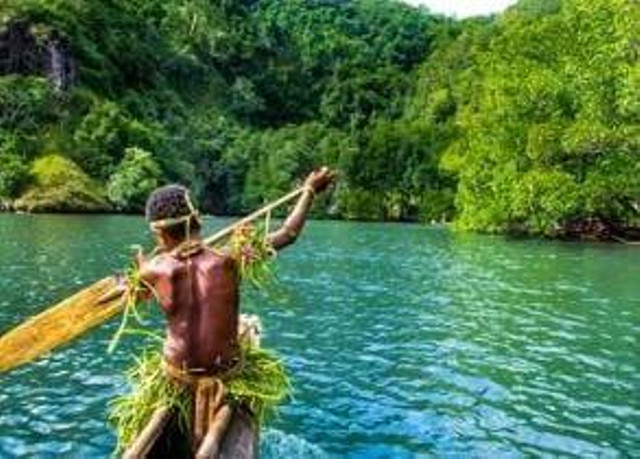 Ilustrasi Hutan Papua, sumber: Freepik