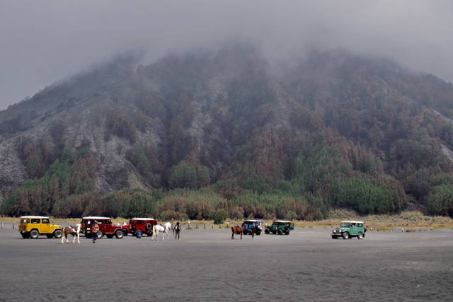 Sejumlah wisatawan mengunjungi Gunung Bromo pascakebakaran di Kawasan Taman Nasional Bromo Tengger Semeru (TNBTS), Pasuruan, Jawa Timur, Kamis (27/6/2024). Foto: Irfan Sumanjaya/ANTARA FOTO