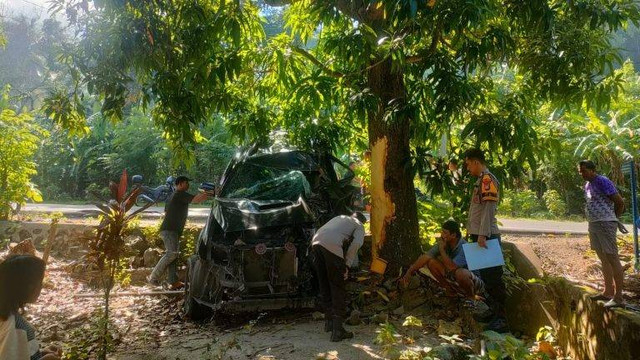 Mobil Fortuner mengalami kecelakaan tunggal dan menabrak pohon mangga di Kabupaten Majene. Foto: Dok. Polres Majene