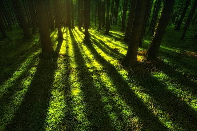 Apakah Pangalengan Dingin, foto hanya ilustrasi, bukan tempat sebenarnya, Pexels/Johanness Plenio