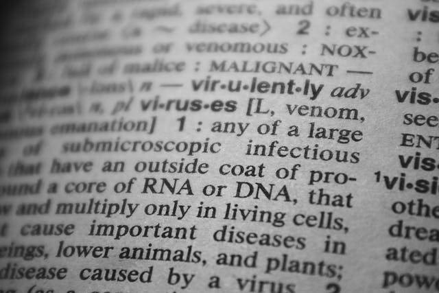 Ilustrasi sebutkan perbedaan DNA dan RNA. Sumber: pexels.com