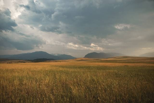 Padang Savana Dieng. Foto hanya ilustrasi bukan lokasi sebenarnya. Sumber: Matthew Smith / Unsplash