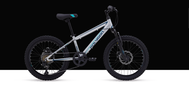 sepeda polygon harga 1 jutaan. Sumber: Polygonbikes.com