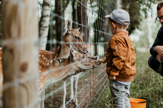 Tempat Wisata Murah di Bandung untuk Anak. Foto hanya ilustrasi, bukan tempat sebenarnya. Sumber: Unsplash/Daiga Ellaby