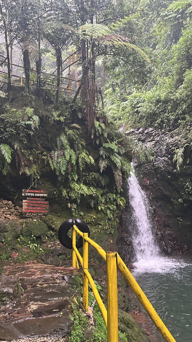 Curug Pangeran: Pesona Tersembunyi di Taman Nasional Gunung Halimun ...