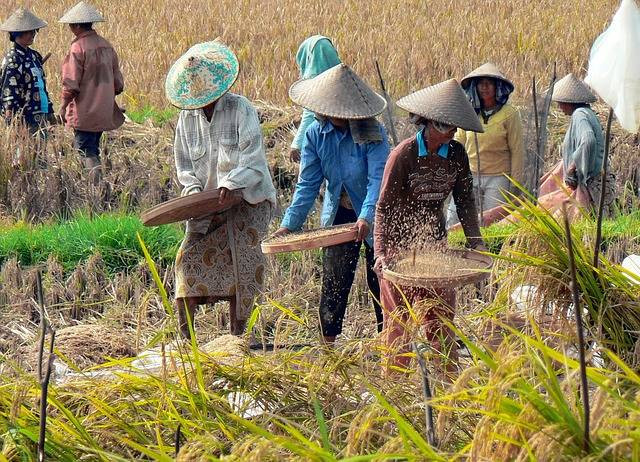 Foto Hanya Ilustrasi: Sitepu Marga Apa? Sumber: Pixabay.com