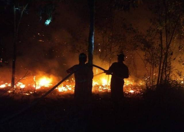 Suasana Manggala Agni saat memadamkan lahan terbakar di Kutaraya, Kayu Agung, OKI, Foto : Manggala Agni