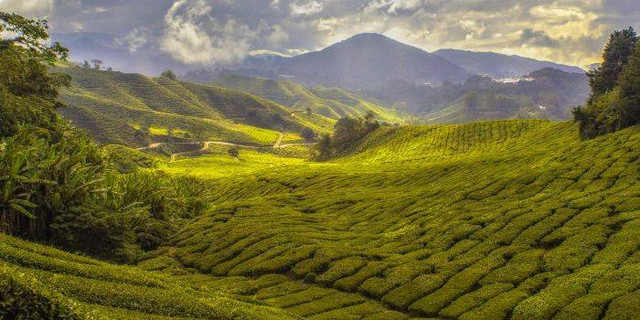 Bukit Batu Manda. Foto hanya ilustrasi bukan tempat sebenarnya. Sumber: Unsplash/Paul-Vincent Roll