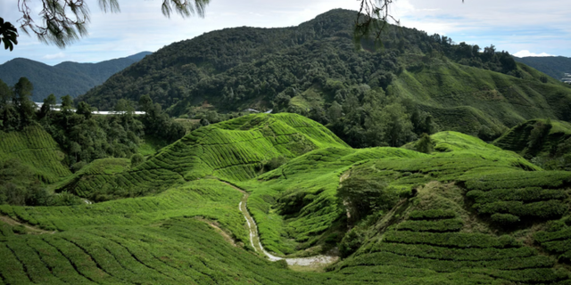 Bukit Batu Manda. Foto hanya ilustrasi bukan gambar sebenarnya. Sumber: Unsplash/Simon Wiedensohler