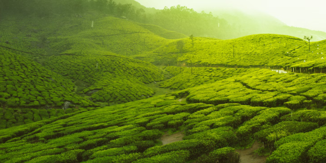 Bukit Batu Manda. Foto hanya ilustrasi bukan tempat sebenarnya. Sumber: Unsplash/Vivek Kumar