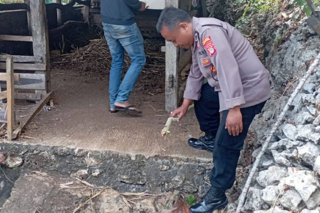 Polisi menunjukkan lokasi seorang perempuan tersengat listrik hingga meninggal dunia di Kapanewon Rongkop, Gunungkidul, Selasa (2/7/2024). Foto: Dok. Istimewa