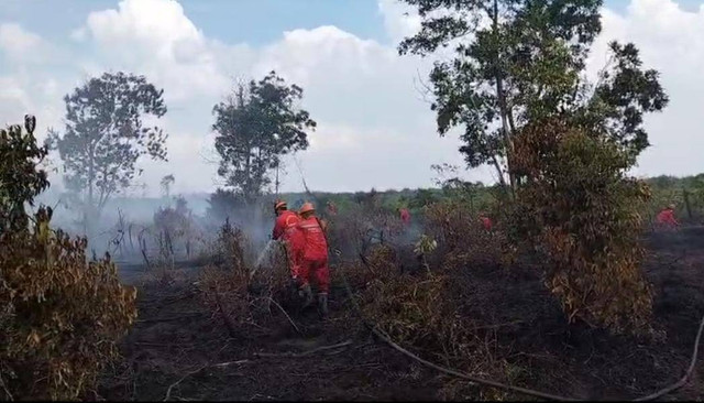 Tim Manggala Agni tengah berjibaku memadamkan kebakaran lahan yang terjadi di Banyuasin, Foto : Manggala Agni