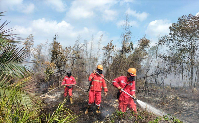 Tim Manggala Agni sedang memadamkan kebakaran lahan gambut di Banyuasin, Foto : BPPIKHL Wilayah Sumatera