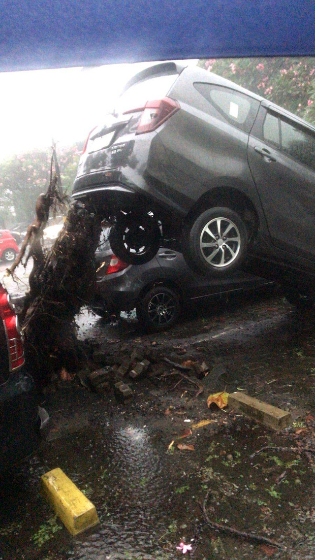 Mobil yang terangkat akar pohon tumbang. Dok: Ist.