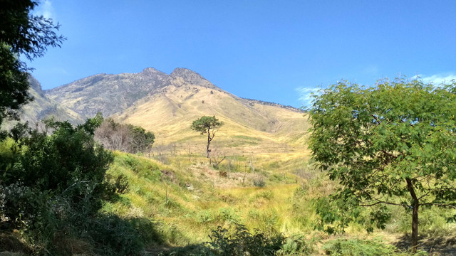 Sabana Gunung Sumbing Via Bowongso. Foto: Dok. Pribadi