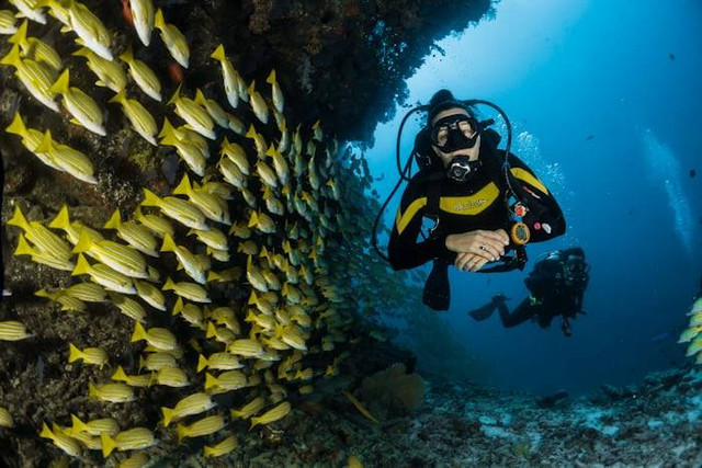 Spot Diving di Timor Leste (Foto hanya ilustrasi, bukan tempat sebenarnya) Sumber: unsplash/ Sebastian Pena Lambarri