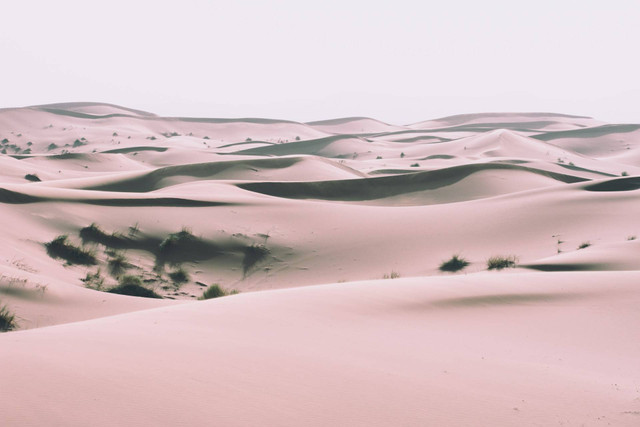 Wisata Gurun Pasir di Indonesia. Foto hanya ilustrasi bukan tempat sebenarnya. Sumber foto: Unplash/Brice Brown