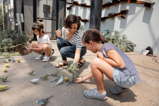 Aviary terbesar di Indonesia. Foto hanya ilustrasi, bukan tempat yang sebenarnya. Sumber: Pexels/Los Muertos Crew