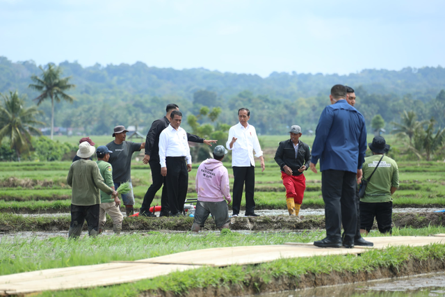 Presiden Joko Widodo bersama Mentan Andi Amran Sulaiman menyapa petani saat meninjau program pompanisasi di Desa Jaling, Kecamatan Awangpone, Kabupaten Bone, Sulawesi Selatan, Kamis (4/7/2024). Foto: Dok. Istimewa