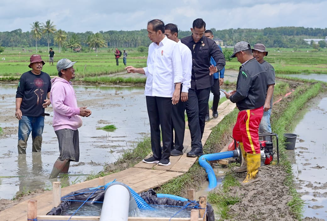 Presiden Joko Widodo bersama Mentan Andi Amran Sulaiman meninjau program pompanisasi di Desa Jaling, Kecamatan Awangpone, Kabupaten Bone, Sulawesi Selatan, Kamis (4/7/2024). Foto: Dok. Kementan