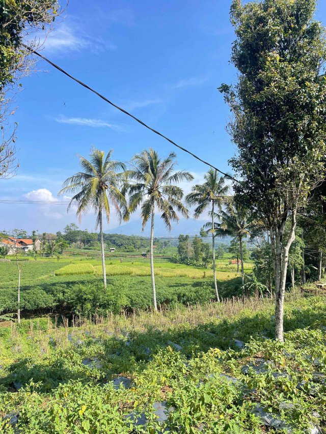 Desa Cilembu, Kecamatan Pamulihan, Kabupaten Sumedang. Foto: Rizki Alif Al-Hikam