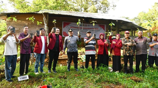 Penjabat Gubernur Sulawesi Barat, Bahtiar Baharuddin, menggalakkan gerakan penanaman pohon di Sulbar. Foto: Dok. Pemprov Sulbar