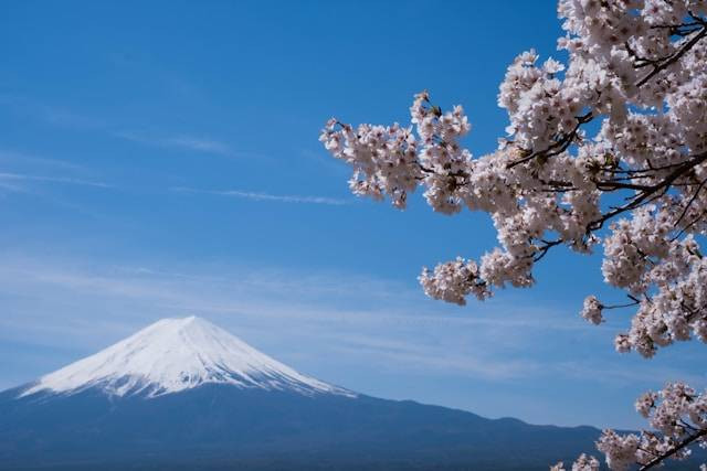 Ilustrasi apa itu gakko dalam bahasa Jepang. Foto: Unsplash/Daniel Hehn