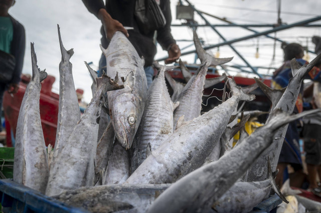 Pekerja memindahkan ikan hasil tangkapan nelayan di Dermaga Pelabuhan Muara Angke, Jakarta, Minggu (7/7/2024). Foto: Erlangga Bregas Prakoso/ANTARA FOTO