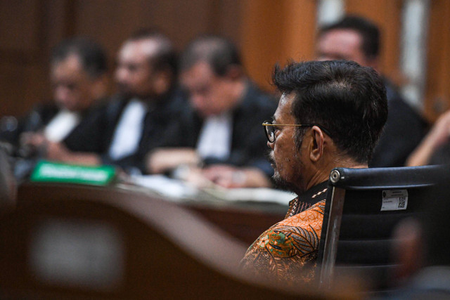 Terdakwa kasus dugaan pemerasan dan gratifikasi di Kementerian Pertanian Syahrul Yasin Limpo (kanan) menjalani sidang lanjutan di Pengadilan Tipikor, Jakarta, Senin (8/7/2024). Foto: Muhammad Adimaja/ANTARA FOTO