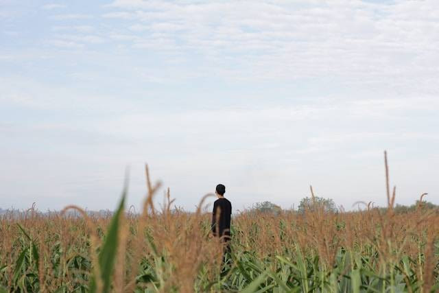 Wisata Pelang Tuban. Foto hanyalah ilustrasi, bukan tempat yang sebenarnya. Sumber: Unsplash/Faizal Ade