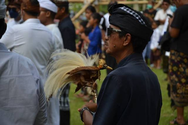 Ilustrasi penyebab burung cenderawasih punah, sumber foto: Danang DKW by pexels.com