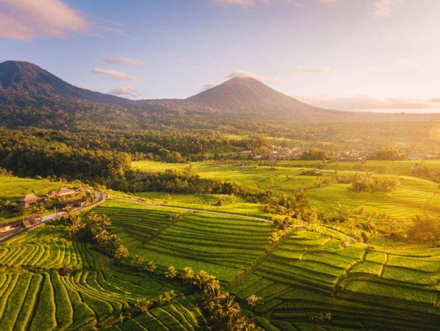 Desa Jatiluwih Bali (Foto : Jadesta Kemenparekraf)