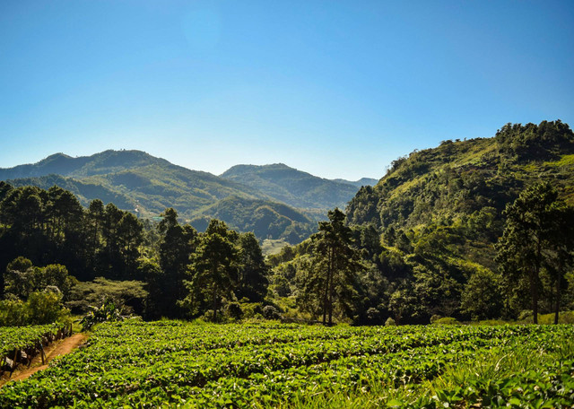 Wisata Bandung Hidden Gem. Foto hanya ilustrasi bukan tempat sebenarnya. Sumber foto: Unplash/Nopparuj Lamaikul