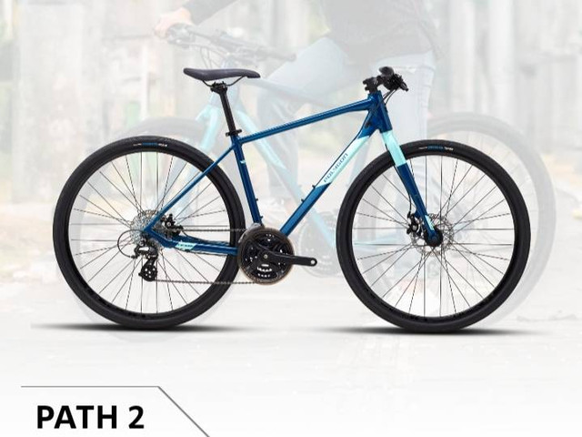 Spesifikasi Polygon Path 2. Sumber: polygonbikes.com