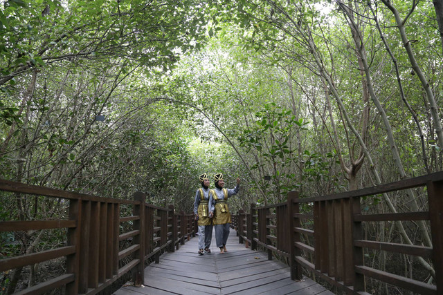 Kebun Raya Mangrove Gunung Anyar Kota Surabaya. Foto: Diskominfo Surabaya