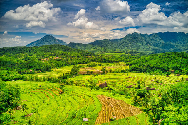 Foto Hanya Ilustrasi: Legenda Gunung Slamet, Sumber: Tom Fisk/Pexels.com