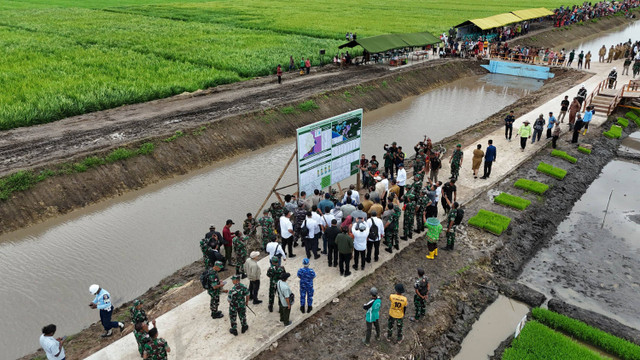 Lokasi optimasi lahan pertanian di Kampung Telaga Sari, Distrik Kurik, Merauke, pada Senin (8/7/2024).  Foto: Dok. Kementan