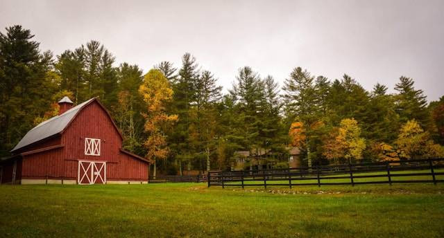 Tiket Masuk Farm House Lembang 2024. Foto hanya ilustrasi, bukan tempat sebenarnya. Sumber foto: Unsplash/Frances