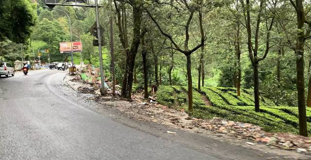 Suasana Kebun Teh setelah PKL