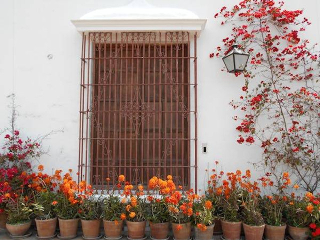 Ilustrasi Pot bunga di halaman rumah. (Sumber: https://www.pexels.com/photo/brown-metal-window-frame-surrounded-by-flowers-888882/)