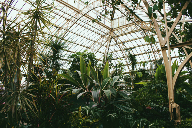 Habitat Park SCBD. Foto hanya sebagai ilustrasi saja, bukan tempat sebenarnya. Sumber: Unsplash/Raelle Gann-Owens.