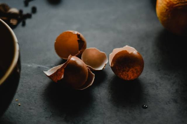 Ilustrasi manfaat cangkang telur untuk tanaman cabai, sumber foto: Eva Bronzini by pexels.com