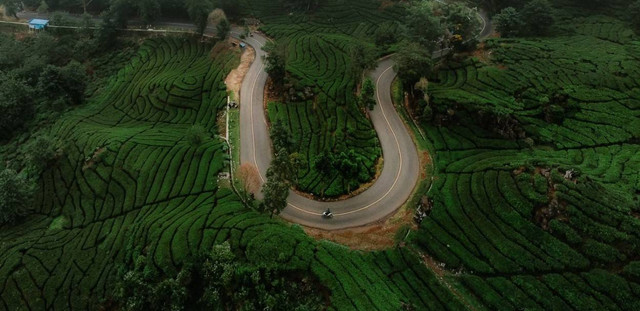 Cara ke Ciwidey dari Stasiun bandung. Foto hanya ilustrasi, bukan tempat sebenarnya.Sumber: Unsplash/sendi gibran